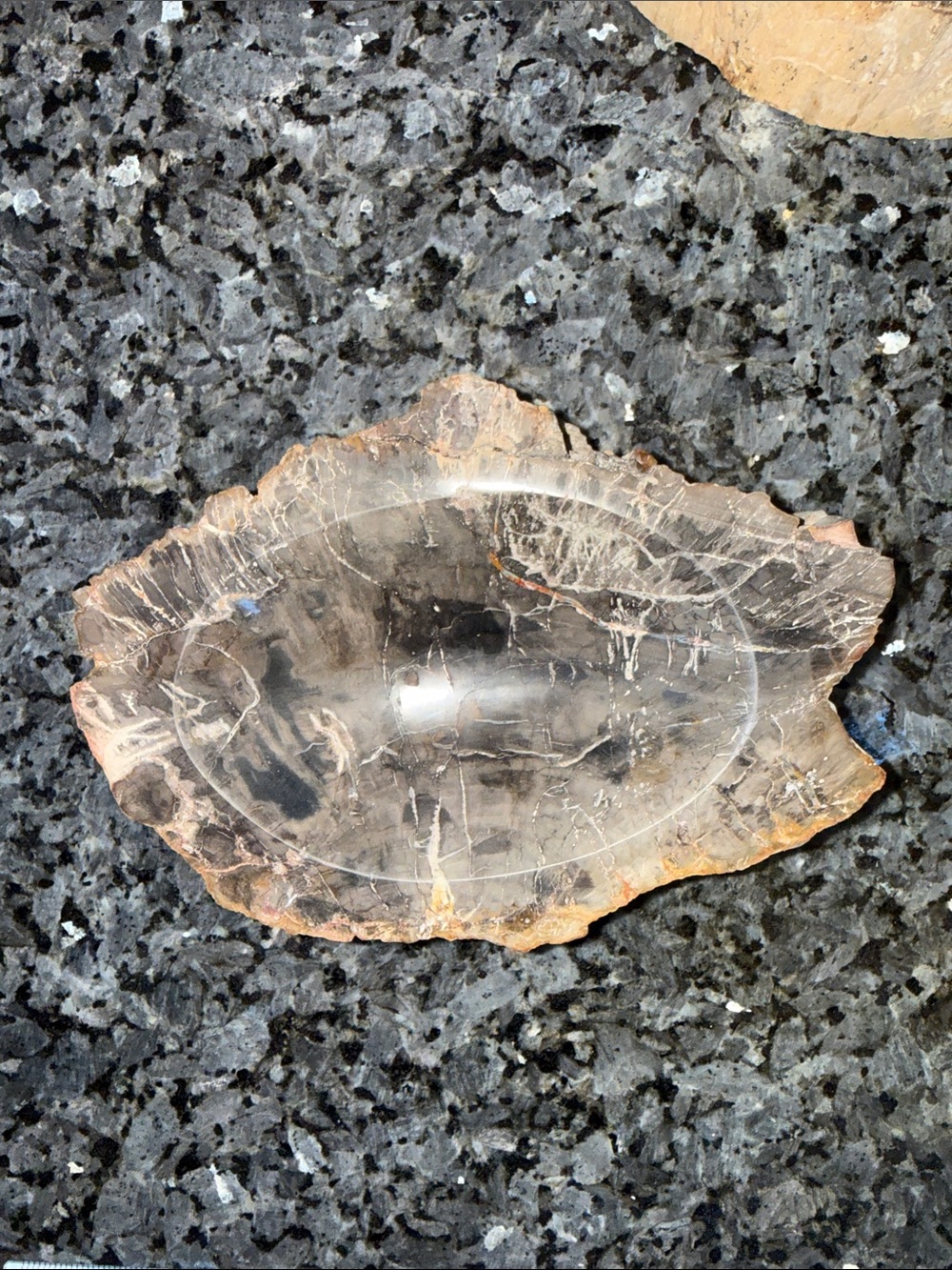 Petrified Wood Custom Bowl B 5 x 7.25โ 4 LBS - Picture 3 of 11